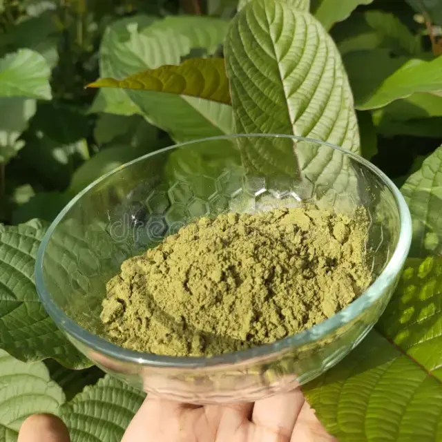 Mitragyna Speciosa Leaf - Mesh 30